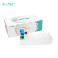 Parvo B19 PCR komplekt